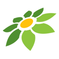 LINK SLOT444